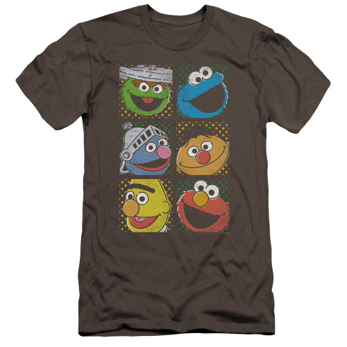 Image for Sesame Street Premium Canvas Premium Shirt - Group Squares