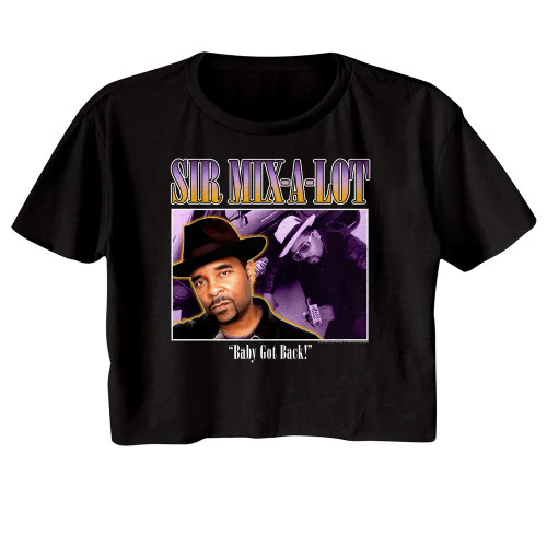 Sir Mix a Lot 90s Style Box Ladies Short Sleeve Crop Top