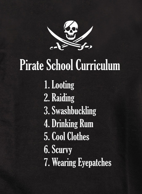 Closeup image for Pirate School Curriculum Juniors V-Neck T-Shirt