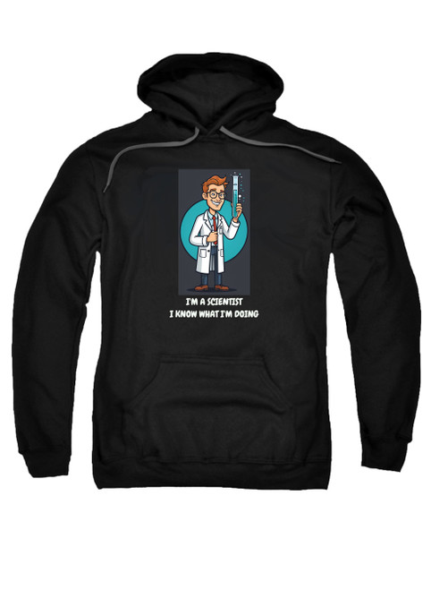 Image for I'm a Scientist I Know What I'm Doing Hoodie on Black