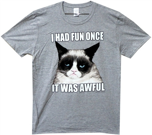 Grumpy Cat I had Fun Once T-Shirt