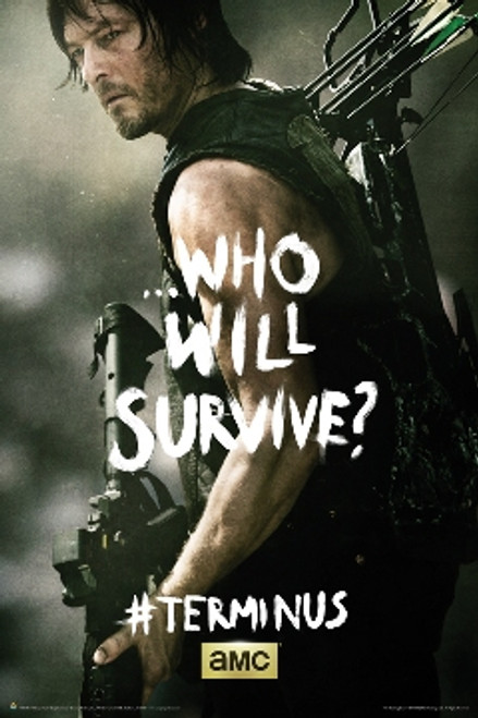 Image for Walking Dead Poster - Terminus Daryl