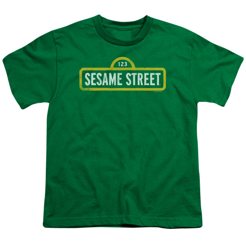 Image for Sesame Street Youth T-Shirt - Rough Logo
