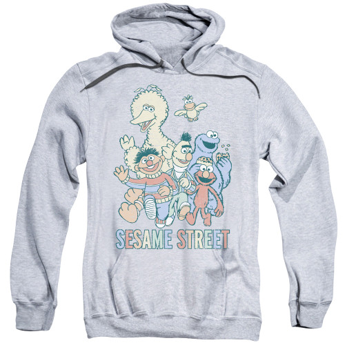 Image for Sesame Street Hoodie - Colorful Group