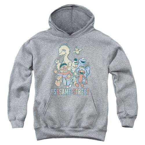 Image for Sesame Street Youth Hoodie - Colorful Group