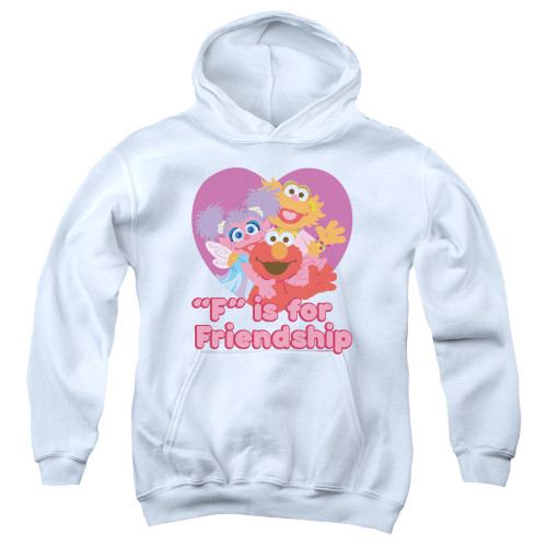 Image for Sesame Street Youth Hoodie - "F" is for Friendship