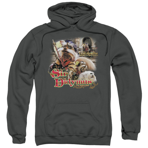 Image for Labyrinth Hoodie - Sir Didymus