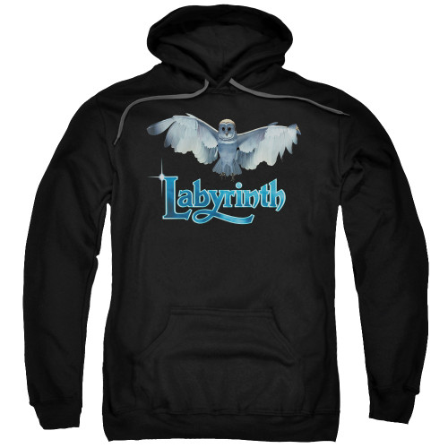 Image for Labyrinth Hoodie - Title Sequence