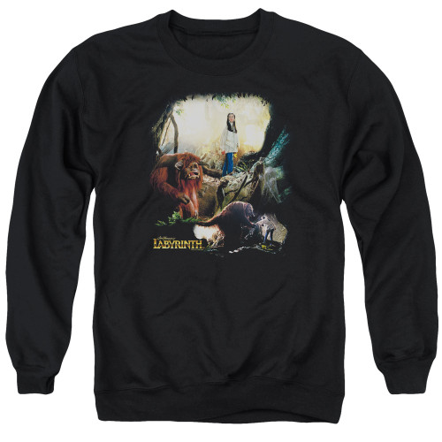 Image for Labyrinth Crewneck - Sarah & Ludo