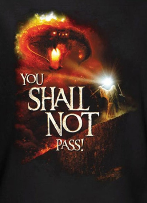 Lord of the Rings You Shall Not Pass T-Shirt