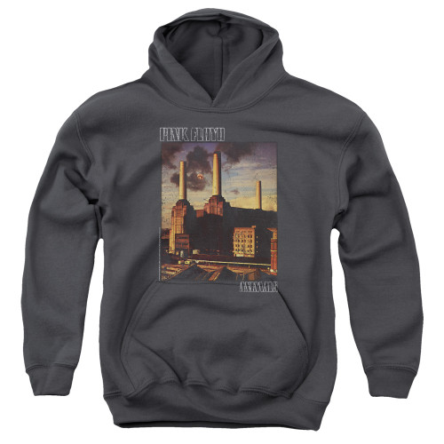 Image for Pink Floyd Youth Hoodie - Faded Animals