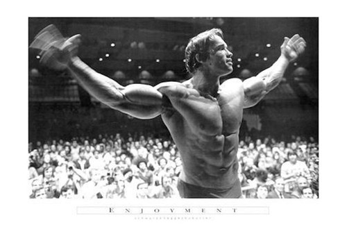 Image for Arnold Schwarzenegger Poster - Enjoyment