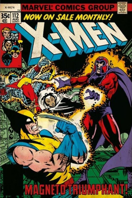 Image for X-Men vs Magneto Poster