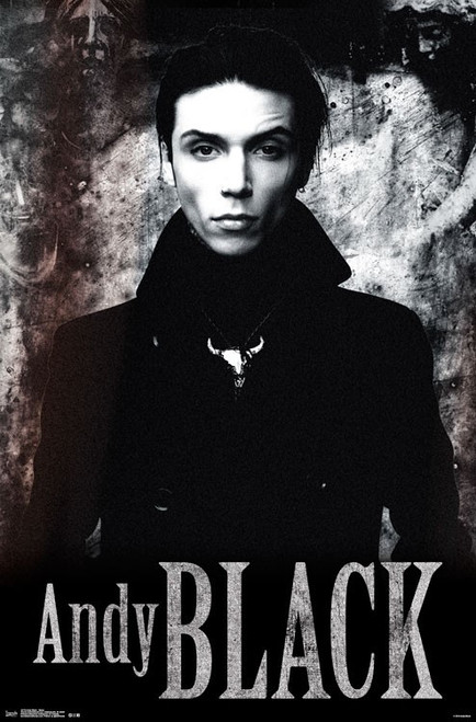 Image for Andy Black Poster - Stone