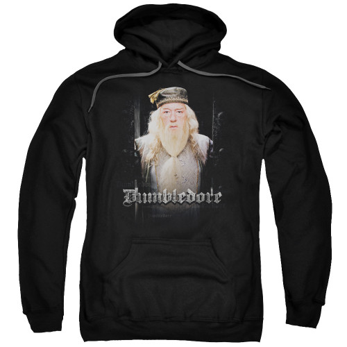 Image for Harry Potter Hoodie - Dumble Doors