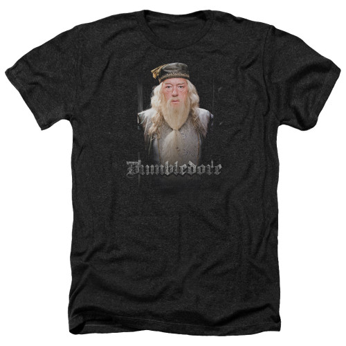 Image for Harry Potter Heather T-Shirt - Dumble Doors