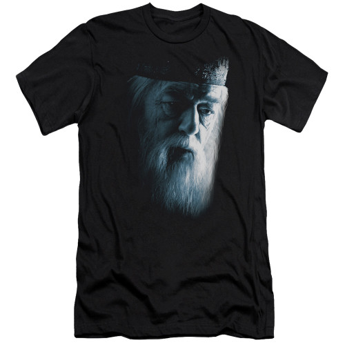Image for Harry Potter Premium Canvas Premium Shirt - Dumbledore Face