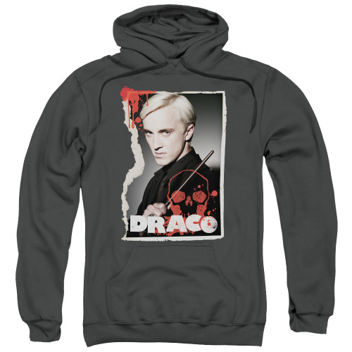 Image for Harry Potter Hoodie - Draco Frame