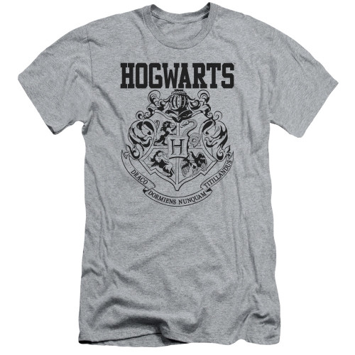 Image for Harry Potter Premium Canvas Premium Shirt - Hogwarts