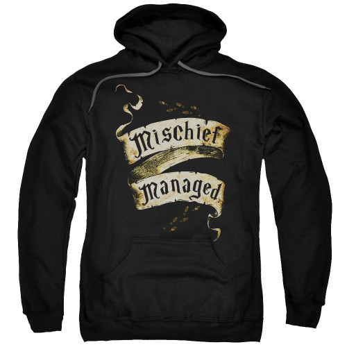 Image for Harry Potter Hoodie - Michief Managed Ribbon