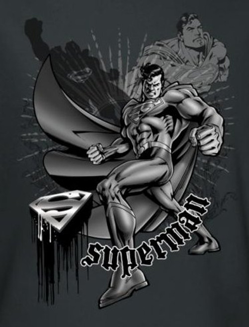 Superman T-Shirt - Flight and Fight