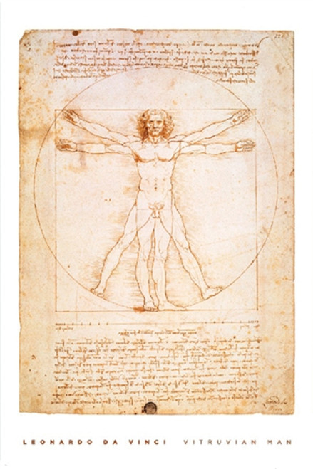 DaVinci Poster - Vitruvian Man