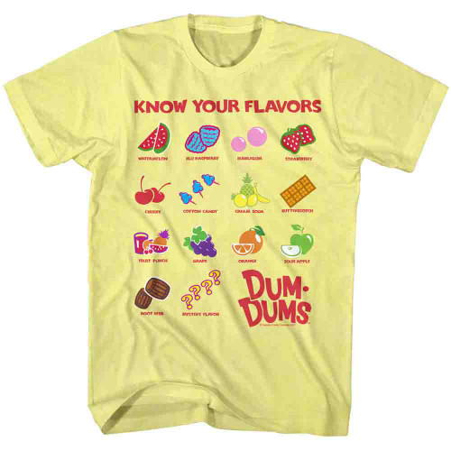 Image for Dum Dums Heather T Shirt - Dum Dums