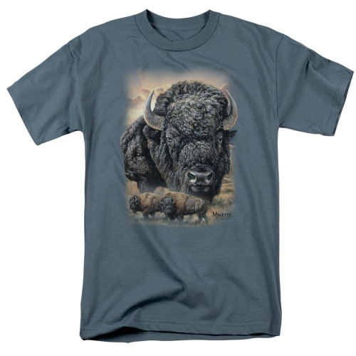 Image for Wild Wings Collection T-Shirt - Sunset Buffalo