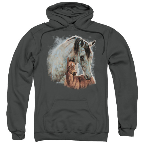 Image for Wild Wings Collection Hoodie - Painted Horses