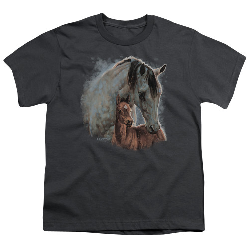 Image for Wild Wings Collection Youth T-Shirt - Painted Horses