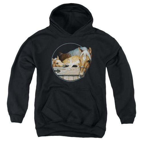 Image for Wild Wings Collection Youth Hoodie - Everyone Loves Kitty