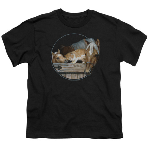 Image for Wild Wings Collection Youth T-Shirt - Everyone Loves Kitty