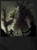 Closeup image for Forest Lord in Battle Fantasy T-Shirt Closeup image for Forest Lord in Battle Fantasy T-Shirt