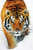 Image for Tiger Snow Poster