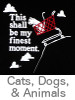 Thumbnail Image for the Cat and Dog T-Shirt Category