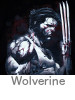 wolverine-t-shirts.jpg