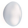 Swarovski 5817 8mm Half-Dome Pearls Crystal Iridescent Dove Grey  Pearls