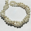 Buy Swarovski 5810 12mm Round Pearls White (50  pieces)