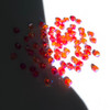 Buy Swarovski 5328 4mm Xilion Bicone Beads Fireopal AB 2x   (72 pieces)