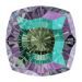 Crystal Paradise Shine