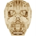 Crystal Golden Shadow