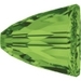 Fern Green