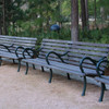 Hermann Park Bench