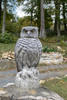 Great Sentinel Owl