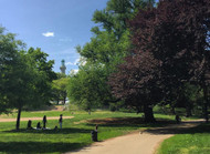 Olmsted Spotlight: Fort Greene Park - “A Park for the Community”