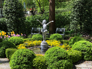 10 Favorite Garden Elements to Welcome Spring