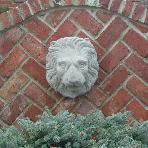 Lion Mask