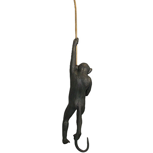 Hanging Monkey 