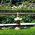 Elegant Finial Fountain