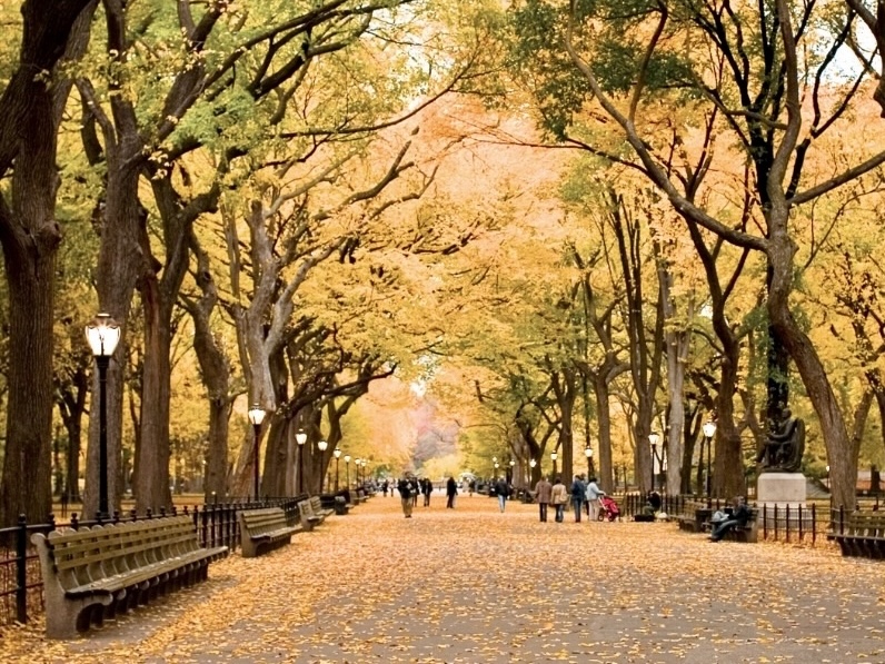 The Iconic Benches of New York City’s Central Park - Kenneth Lynch and Sons